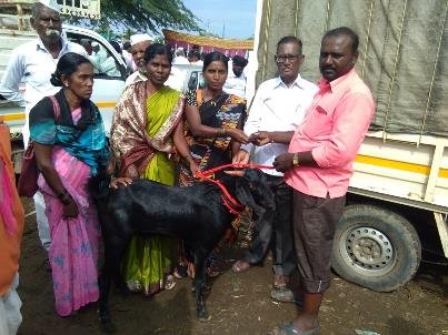 Case story: I am glad that our awarded land will initiate the women’s collective goat project.