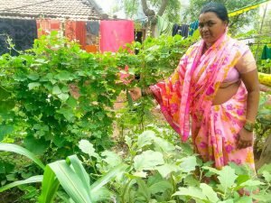 Marginalized farmer’s Priyanka Berad Organic Nutrition Graden developed at backyard of her house in Akiwat
